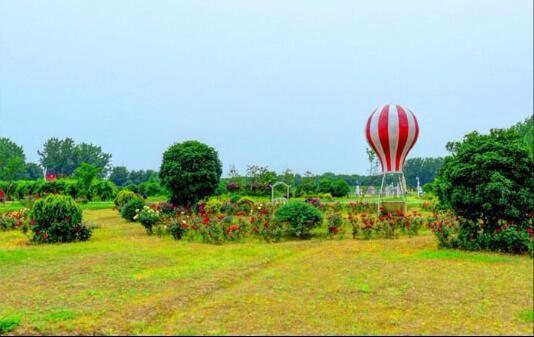 星空體育·(中國)官方網站